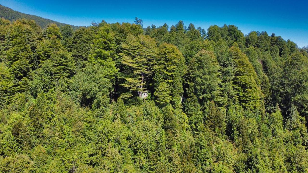 Huincaterra Otel Villarrica Dış mekan fotoğraf