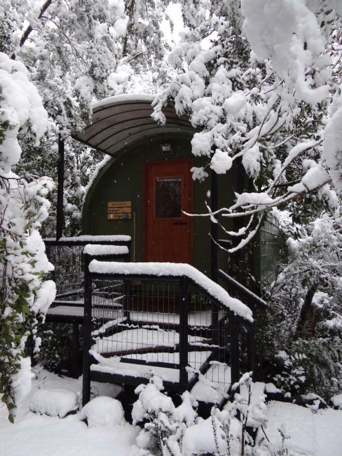 Huincaterra Otel Villarrica Dış mekan fotoğraf